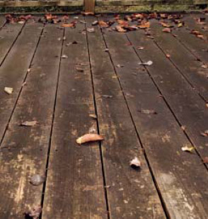 ��������� ��������,���������� ������