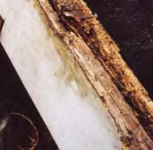 ������ ������� �����