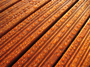 ������  ��������� �����, ������ � �����-����������